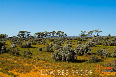 October 2005 / LANDSCAPES_SA_095__051013__TRP4381