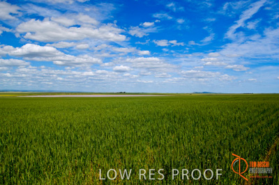 October 2005 / LANDSCAPES_SA_099__051012__TRP4218