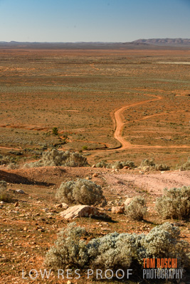 July 2018 / _TRP7935