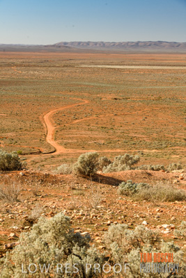 July 2018 / _TRP7939