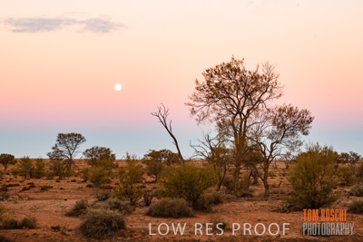 July 2018 / _TRP8016-HDR