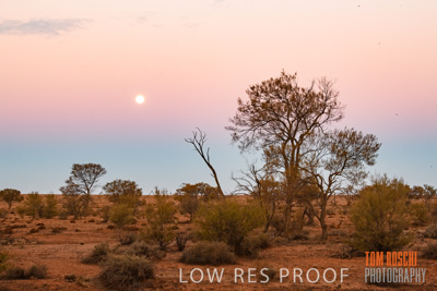 July 2018 / _TRP8026-HDR