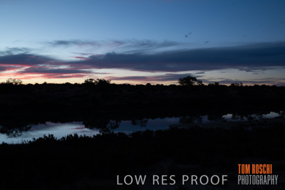 July 2018 / _TRP8078