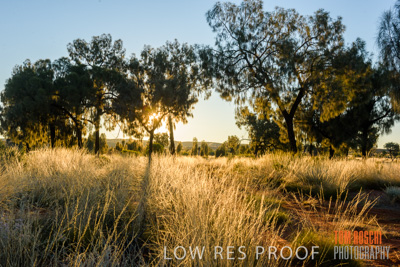 August 2017 / _TRP9749