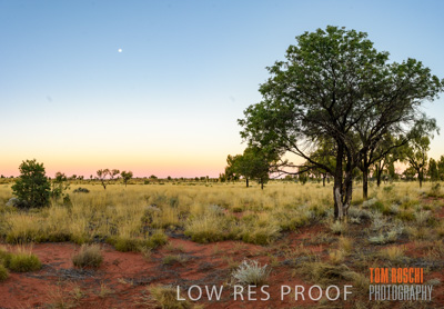 August 2017 / _TRP9764-Pano