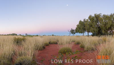 August 2017 / _TRP9811-Pano