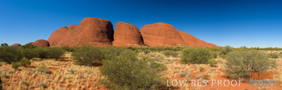 August 2017 / _TRP9911-Pano