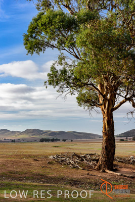 May 2016 / SA_RURAL_001__160519_SA_RURAL_001__160519__DSC6913