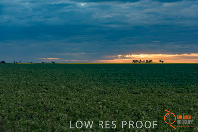 September 2014 / SA_RURAL_014__140908_VITERRA_GLENVALE_FARMS_053_140908