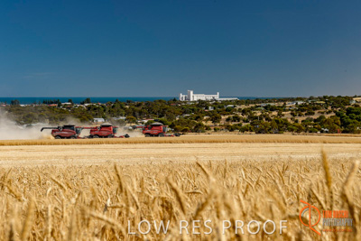 November 2013 / SA_RURAL_036__131118_SA_RURAL_012__131118_TRP_AB_YP_00031_131118