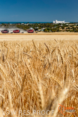 November 2013 / SA_RURAL_037__131118_SA_RURAL_013__131118_TRP_AB_YP_00029_131118