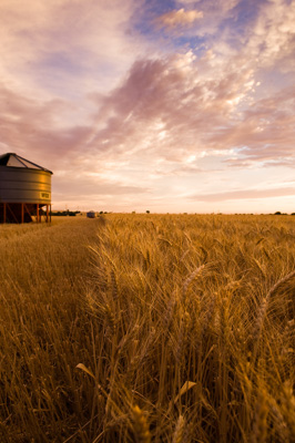 October 2013 / SA_RURAL_041__131010_091118_SHERWELL_269