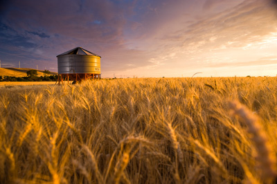 October 2013 / SA_RURAL_043__131010_091118_SHERWELL_240