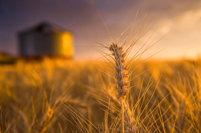 October 2013 / SA_RURAL_044__131010_091118_SHERWELL_248