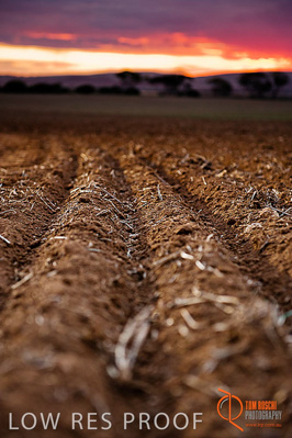 May 2010 / SA_RURAL_053__100520_SA_RURAL_017__100520_20100520_VITERRA_057_TRP9328