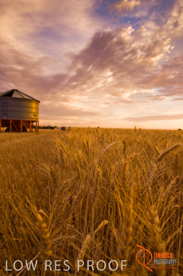 November 2009 / SA_RURAL_061__091118_091118_SHERWELL_267