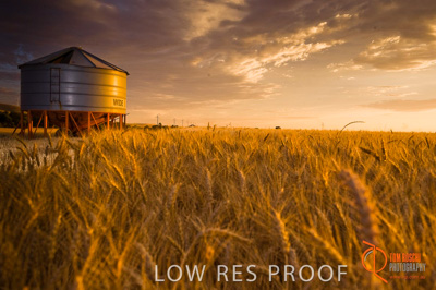 November 2009 / SA_RURAL_062__091118_091118_SHERWELL_265