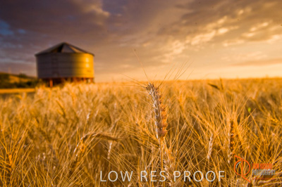 November 2009 / SA_RURAL_069__091118_091118_SHERWELL_253