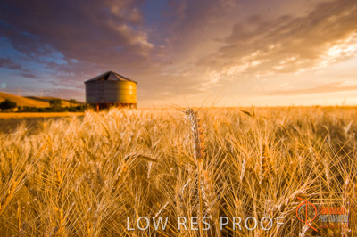 November 2009 / SA_RURAL_070__091118_091118_SHERWELL_252