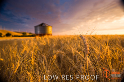 November 2009 / SA_RURAL_072__091118_091118_SHERWELL_245