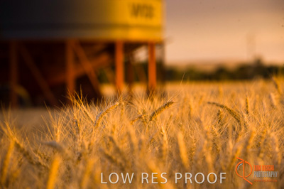 November 2009 / SA_RURAL_077__091118_091118_SHERWELL_230