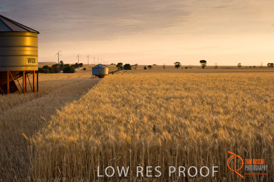 November 2009 / SA_RURAL_079__091118_091118_SHERWELL_225