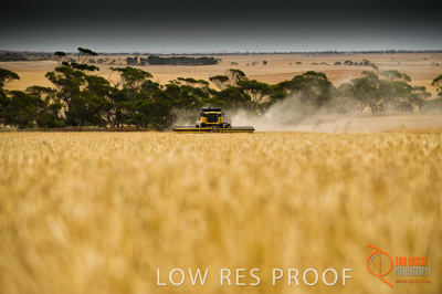 November 2009 / SA_RURAL_088__091118_SA_RURAL_040__091118_091118_VITERA_BUTE_SA_053