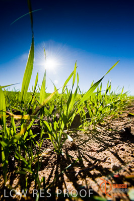 July 2009 / SA_RURAL_099__090709_ABB_GRAIN_248_090709