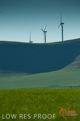 July 2009 / SA_RURAL_121__090709_ABB_GRAIN_126_090709