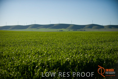 July 2009 / SA_RURAL_131__090709_ABB_GRAIN_100_090709