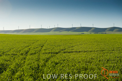 July 2009 / SA_RURAL_138__090709_SA_RURAL_081__090709_ABB_GRAIN_085_090709