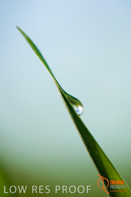 July 2009 / SA_RURAL_145__090709_ABB_GRAIN_075_090709