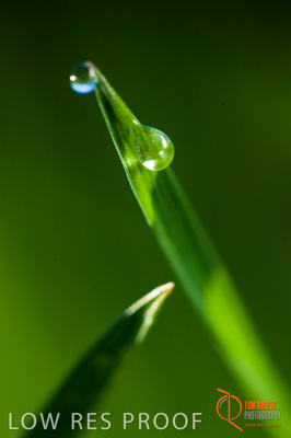 July 2009 / SA_RURAL_147__090709_ABB_GRAIN_061_090709