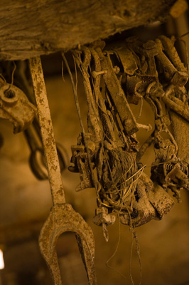 August 2008 / SA_RURAL_178__080826_Kalleske_104_080826