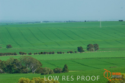 August 2007 / SA_RURAL_214__070803_ABB_GRAIN_205_070803