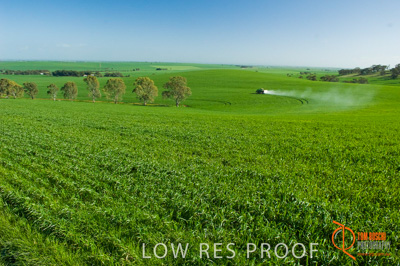 August 2007 / SA_RURAL_216__070803_ABB_GRAIN_198_070803