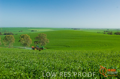 August 2007 / SA_RURAL_218__070803_ABB_GRAIN_193_070803