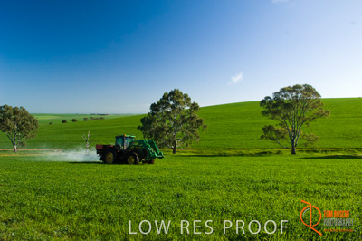 August 2007 / SA_RURAL_225__070803_ABB_GRAIN_172_070803