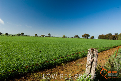 August 2007 / SA_RURAL_235__070803_ABB_GRAIN_153_070803