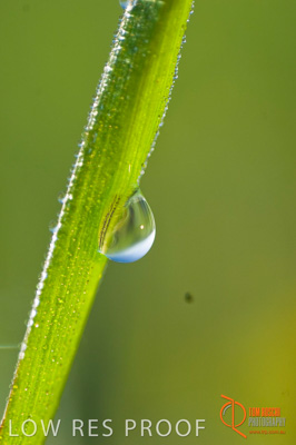 August 2007 / SA_RURAL_250__070803_ABB_GRAIN_082_070803