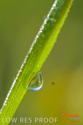 August 2007 / SA_RURAL_251__070803_ABB_GRAIN_080_070803