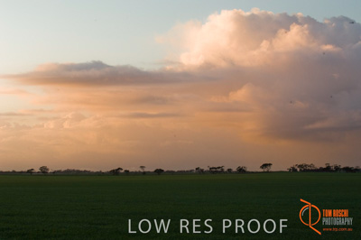 August 2007 / SA_RURAL_272__070803_ABB_GRAIN_020_070803