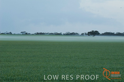 August 2007 / SA_RURAL_276__070803_ABB_GRAIN_017_070803