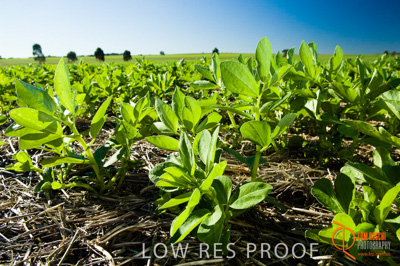 June 2007 / SA_RURAL_284__070615_ABB_509_070615