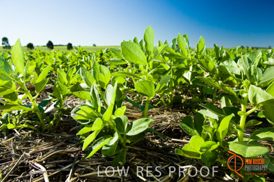 June 2007 / SA_RURAL_286__070615_ABB_506_070615