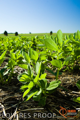 June 2007 / SA_RURAL_287__070615_ABB_504_070615