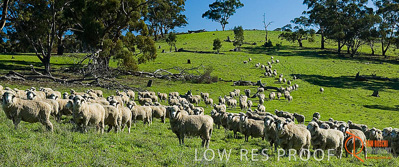 June 2007 / SA_RURAL_298__070615_SA_RURAL_108__070615_ABB_395_070615