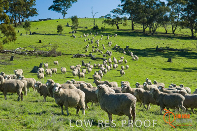 June 2007 / SA_RURAL_299__070615_ABB_386_070615