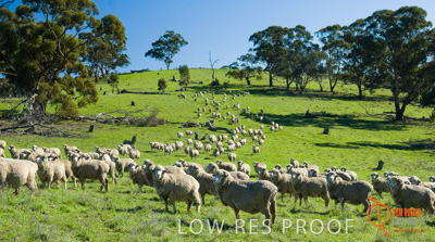 June 2007 / SA_RURAL_300__070615_ABB_385_070615