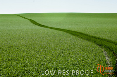 June 2007 / SA_RURAL_306__070615_ABB_342_070615